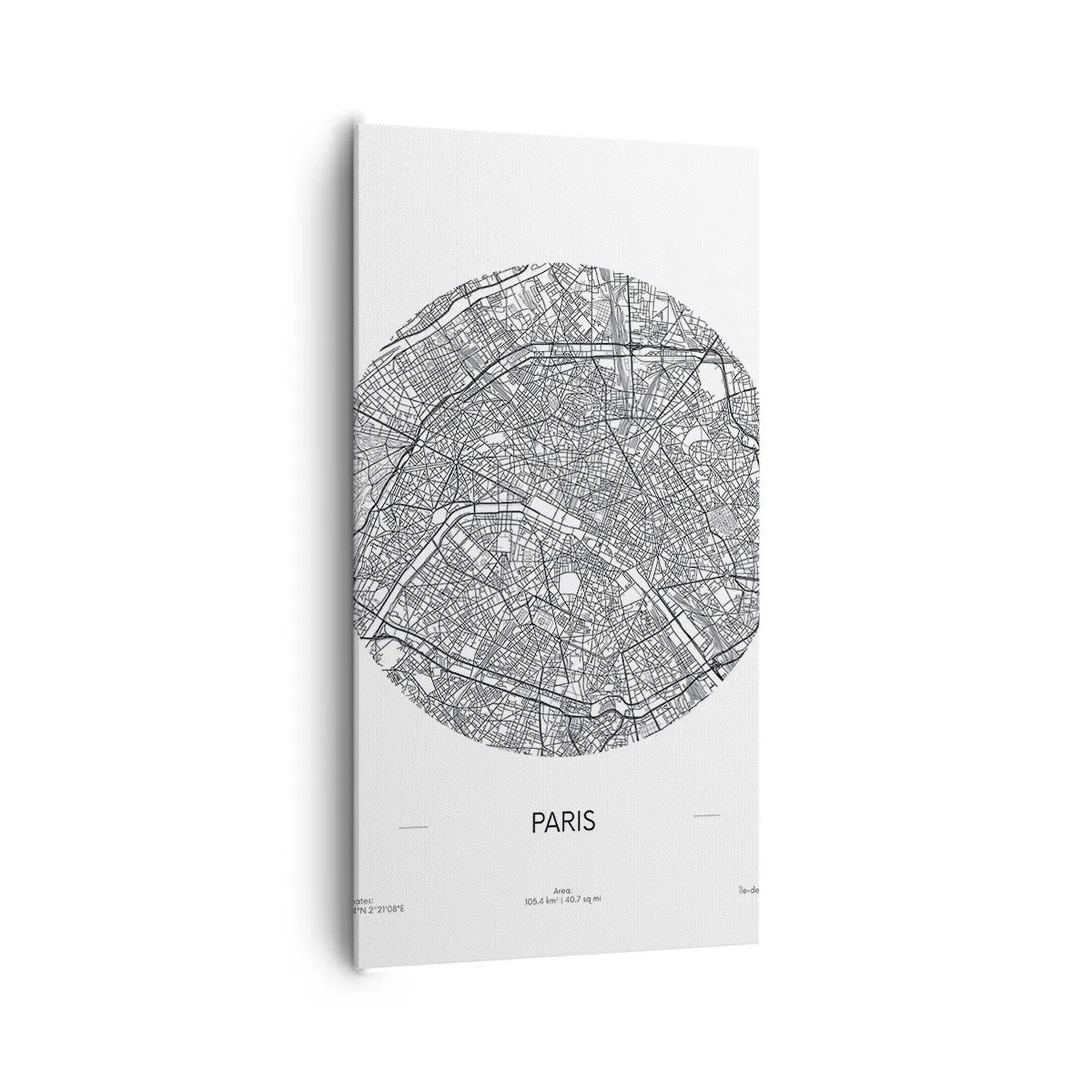 Quadro su tela - Stampe su Tela - Anatomia di Parigi - 65x120 cm