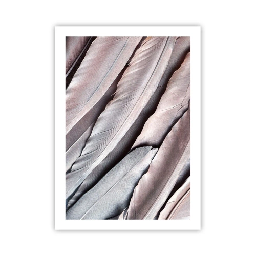 Poster - Primo piano di delicate piume pastello - 50x70cm - Argento rosato - Decorazione murale moderna per soggiorno e camera da letto ARTTOR