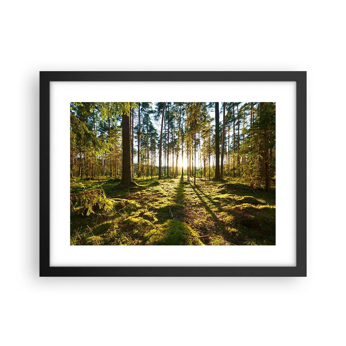 Poster in cornice nera - …dopo sette foreste - 40x30 cm