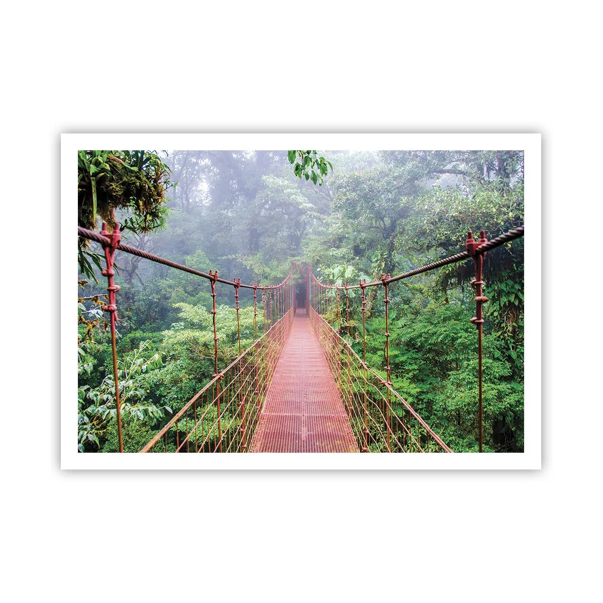 Poster - Un ponte sospeso in una giungla tropicale circondato dalla nebbia - 100x70cm - Sospeso sopra gli alberi - Decorazione murale moderna per soggiorno e camera da letto ARTTOR