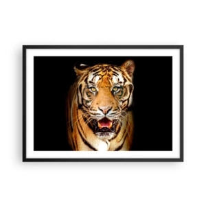 Poster in cornice nera - Una tigre con la bocca aperta su uno sfondo nero - 70x50cm - Cuore selvatico - Decorazione murale moderna per soggiorno e camera da letto ARTTOR
