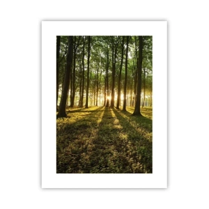 Poster - La foto di ogni primavera - 30x40 cm