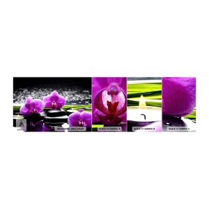 Campione di Fotomurale Adesivo Deluxe Sticker - Annegare nel silenzio e nella pace - Fiori, Orchidea, Orchidea - 100x30 cm