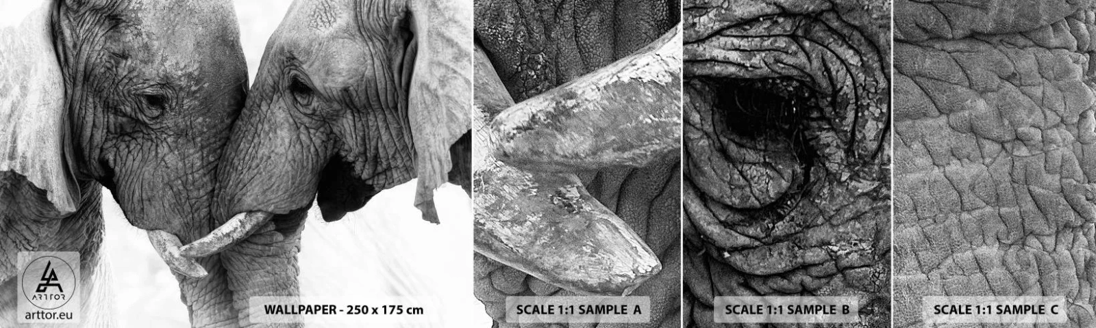 Campione Di Fotomurale Standard Eco - Dichiarazione sincera - Elefante, Animali, Africa - 100x30 cm