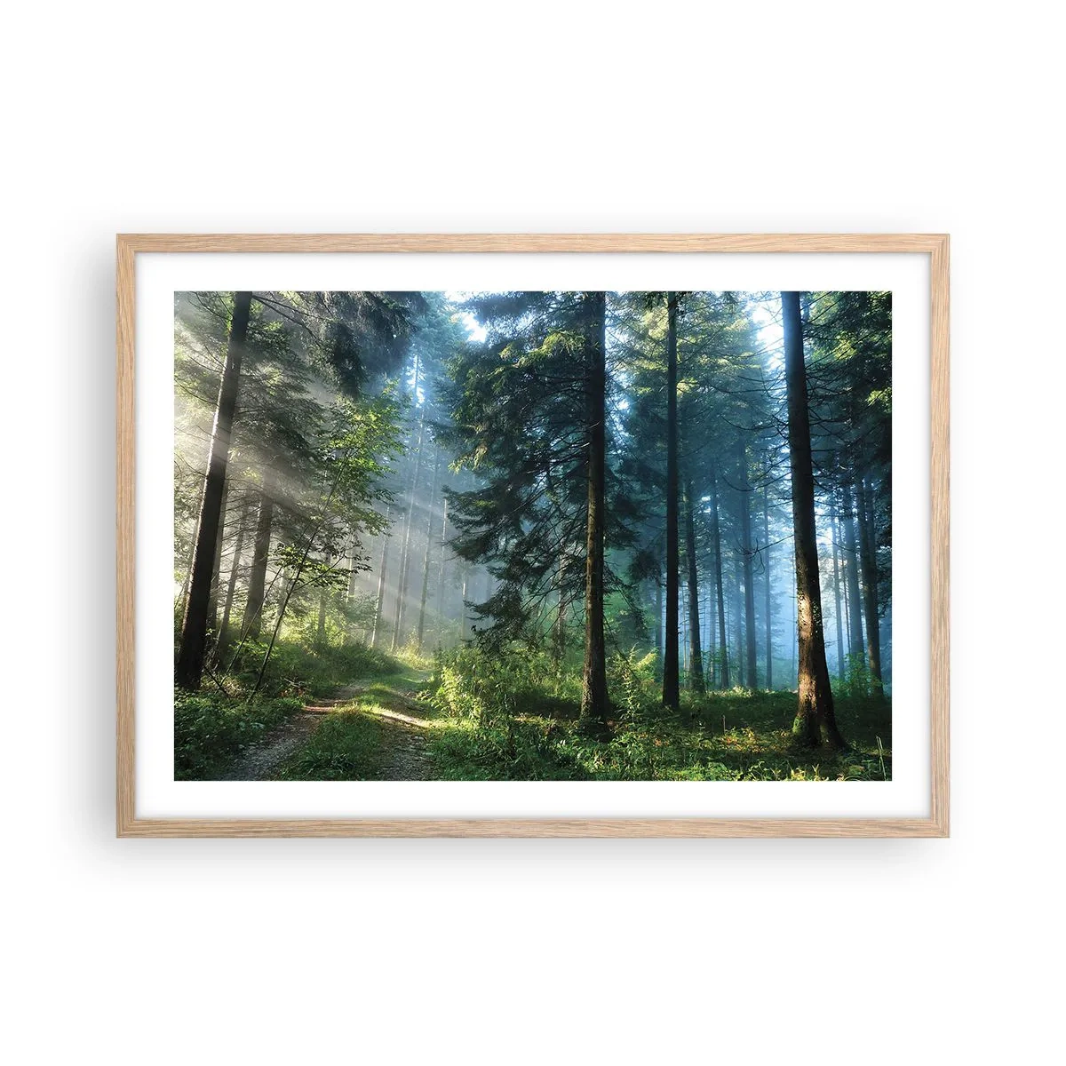 Poster in cornice rovere chiaro - Raggiante all'alba - 70x50 cm