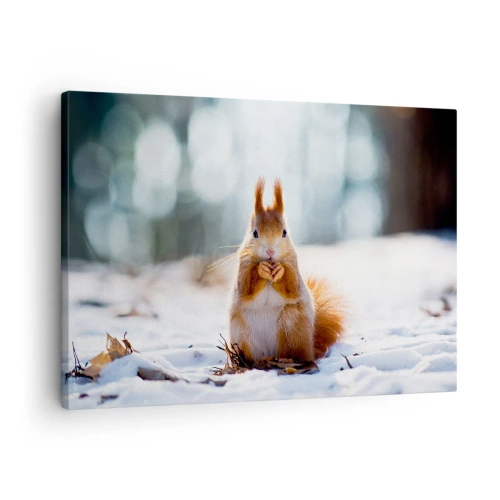 Quadro su tela - Stampe su Tela - Uno scoiattolo in un paesaggio invernale - 70x50cm - Che cosa guardi? - Decorazione murale moderna per soggiorno e camera da letto ARTTOR