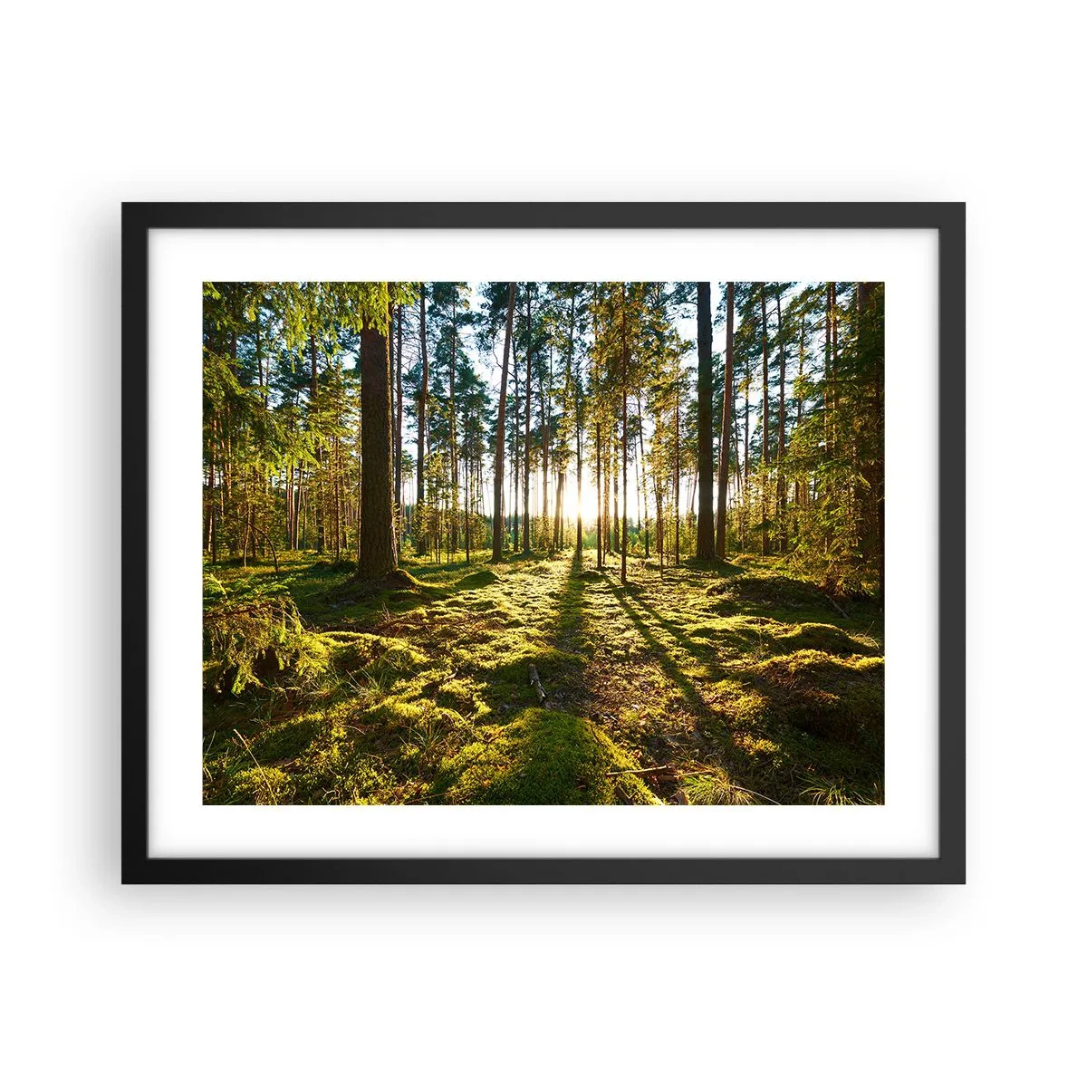 Poster in cornice nera - …dopo sette foreste - 50x40 cm