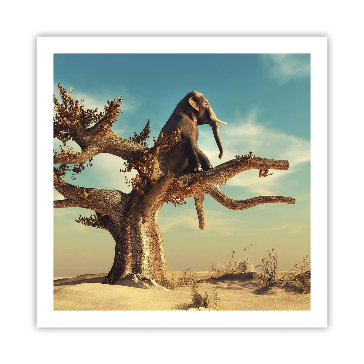 Poster - Nuovo punto di vista - 60x60 cm