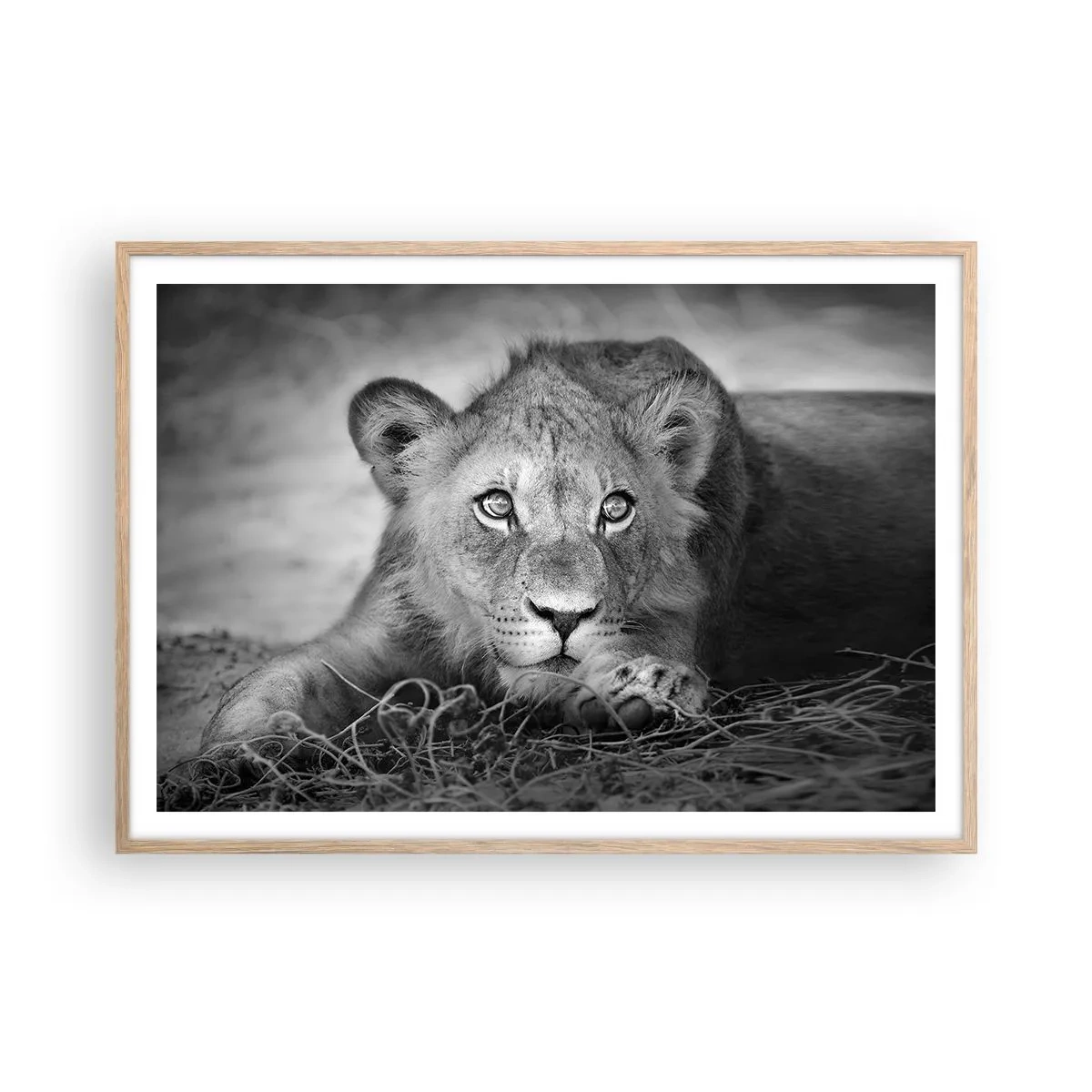 Poster in cornice rovere chiaro - Cucciolo reale - 100x70 cm
