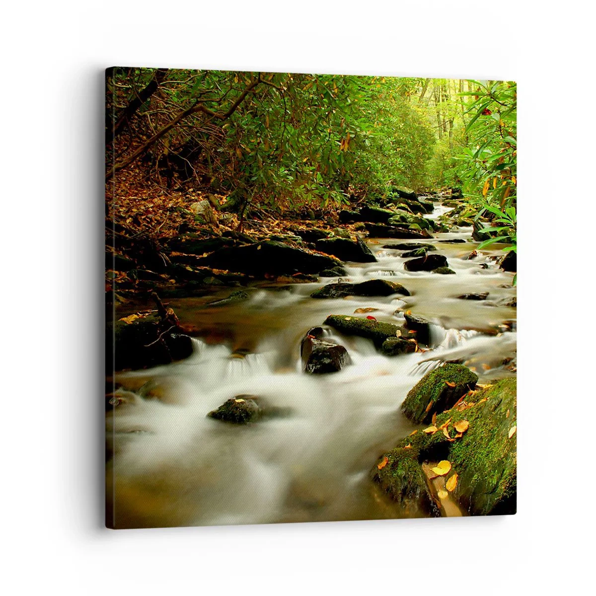 Quadro su tela - Stampe su Tela - Come argento liquido - 30x30 cm