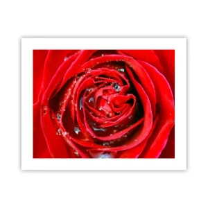 Poster - Nelle gocce della rugiada - 50x40 cm