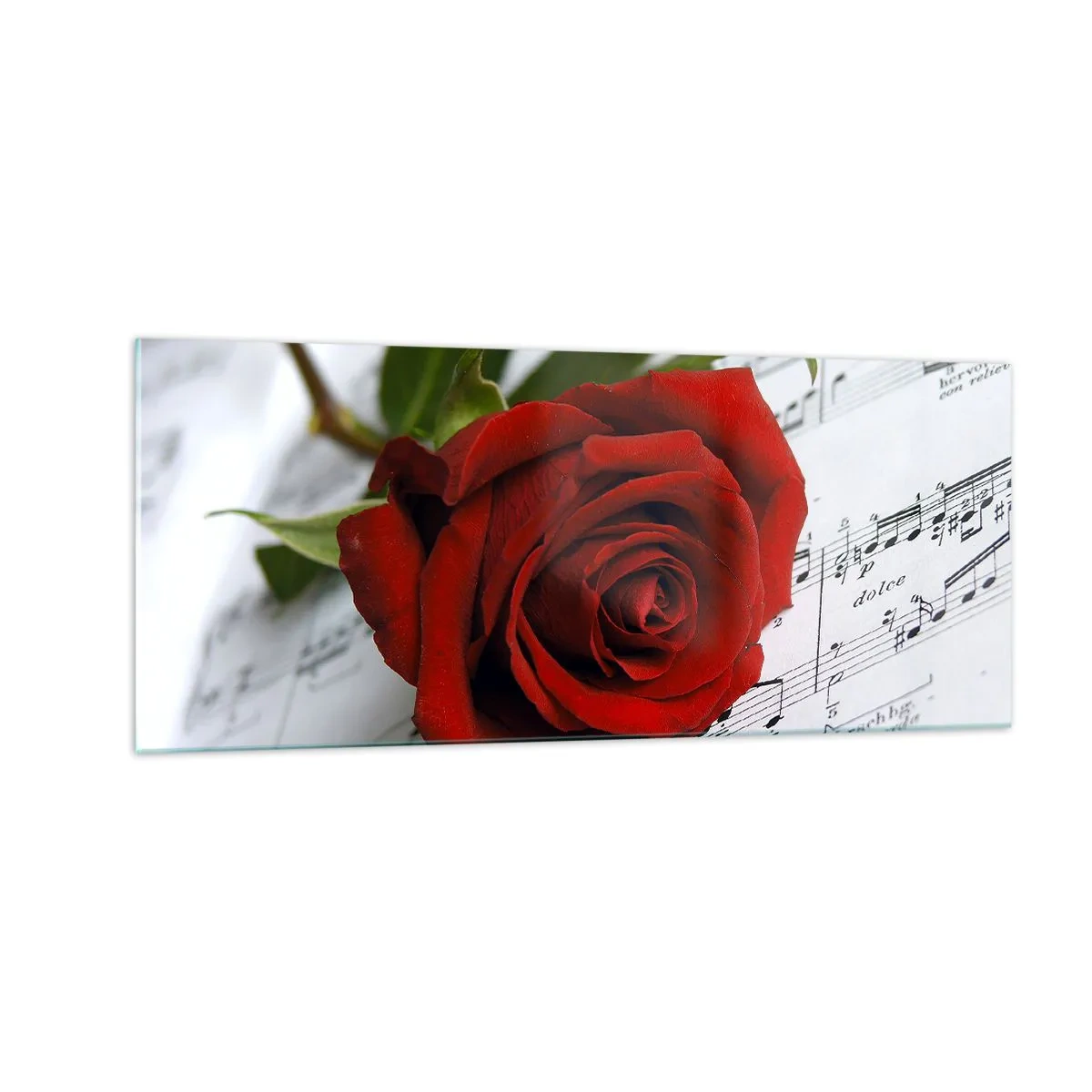 Quadro su vetro - La musica dei sentimenti in scarlatto - 100x40 cm