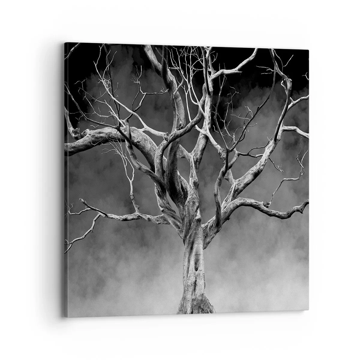 Quadro su tela - Stampe su Tela - Primordiale e sacro - 70x70 cm