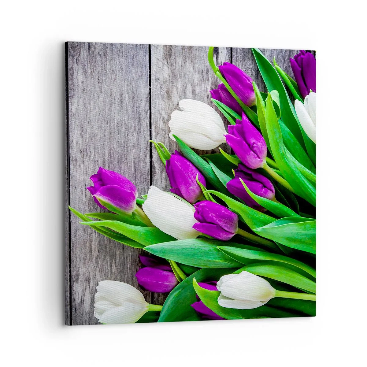 Quadro su tela - Stampe su Tela - Nella festa della primavera - 50x50 cm