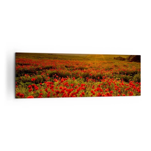 Quadro su tela - Stampe su Tela - Un campo di papaveri rossi al chiarore del sole al tramonto - 160x50cm - Tra il fruscio delle erbe, in un'esplosione di fiori - Decorazione murale moderna per soggiorno e camera da letto ARTTOR