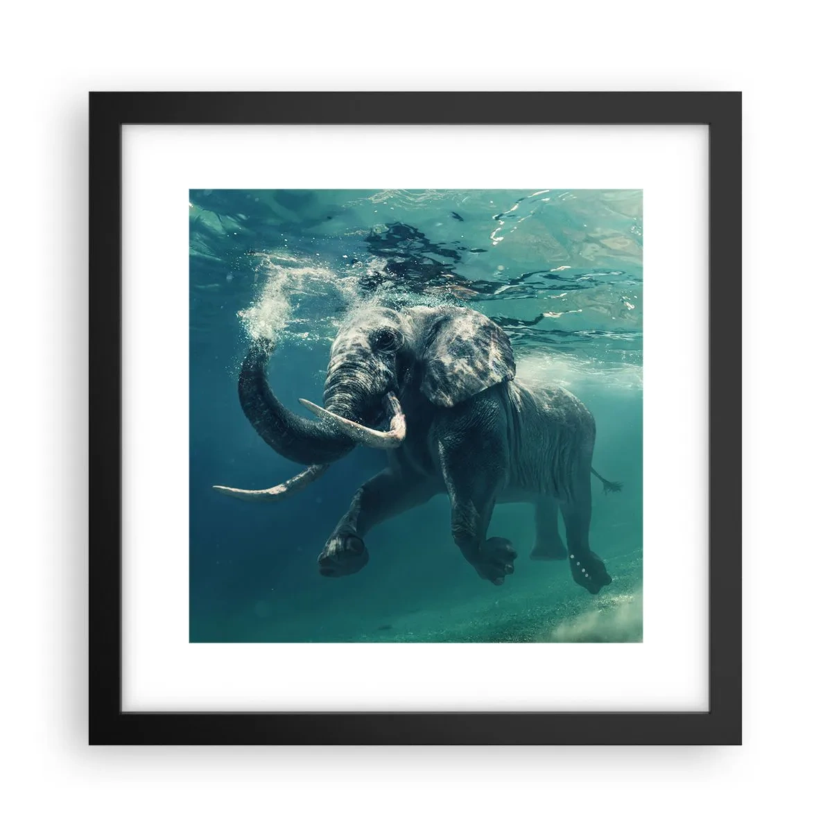 Poster in cornice nera - Tutti amano nuotare - 30x30 cm