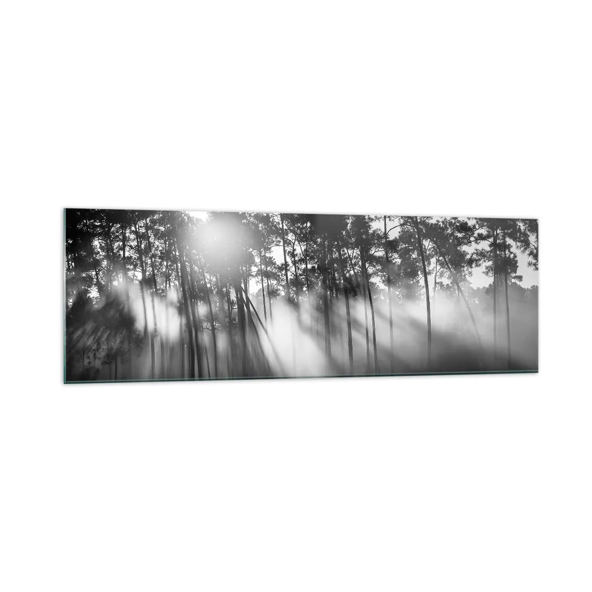 Quadro su vetro - Foresta bianca e nera nella nebbia mattutina - 160x50cm - Sole irrefrenabile - Decorazione murale moderna per soggiorno e camera da letto ARTTOR