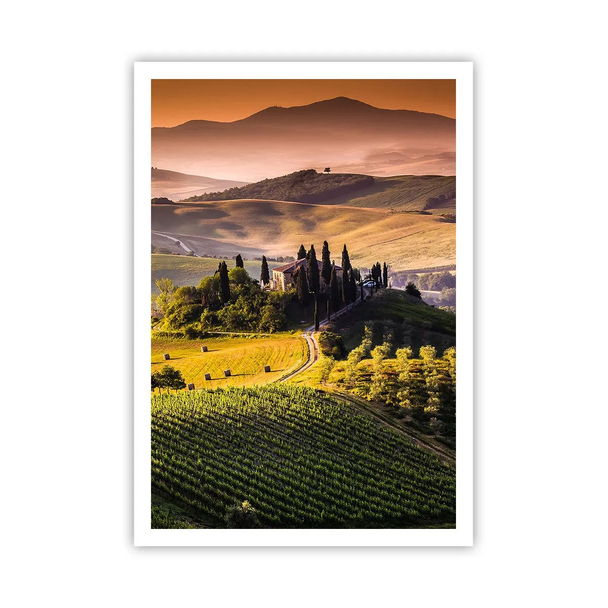 Poster - Arcadia: paesaggio toscano - 70x100 cm