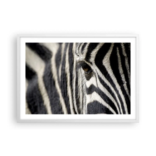 Poster in cornice bianca - Ritratto a strisce - 70x50 cm