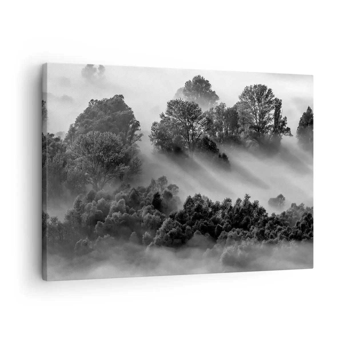 Quadro su tela - Stampe su Tela - Paesaggio forestale in bianco e nero nella nebbia mattutina - 70x50cm - Risveglio dal sonno - Decorazione murale moderna per soggiorno e camera da letto ARTTOR