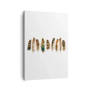 Quadro su tela - Stampe su Tela - Motivo decorativo di una raccolta di piume varie - 50x70cm - Composizione di piume - Decorazione murale moderna per soggiorno e camera da letto ARTTOR