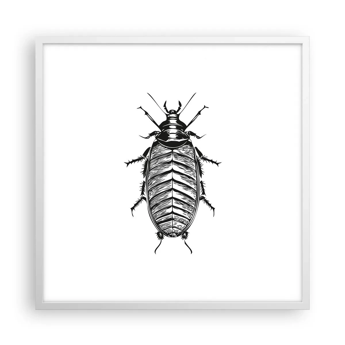 Poster in cornice bianca - Che esemplare! - 60x60 cm