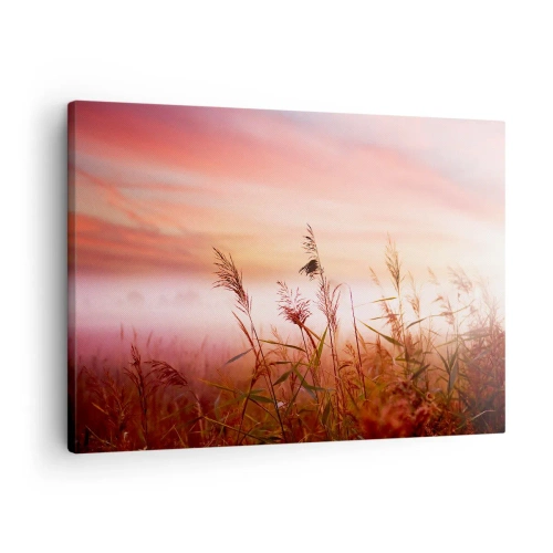 Quadro su tela - Stampe su Tela - Un campo d'erba sullo sfondo di un pittoresco tramonto - 70x50cm - Aquiloni, denti di leone, vento - Decorazione murale moderna per soggiorno e camera da letto ARTTOR
