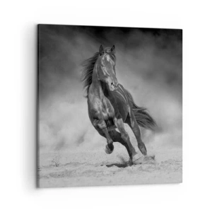 Quadro su tela - Stampe su Tela - Degno dell'emiro - 50x50 cm