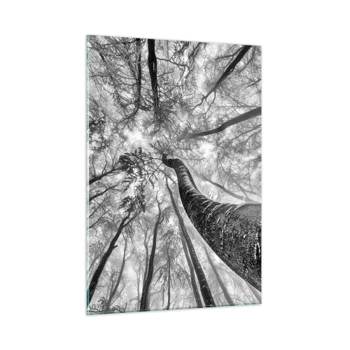 Quadro su vetro - Alberi in bianco e nero fotografati dal basso verso il cielo - 50x70cm - La corsa verso la luce - Decorazione murale moderna per soggiorno e camera da letto ARTTOR