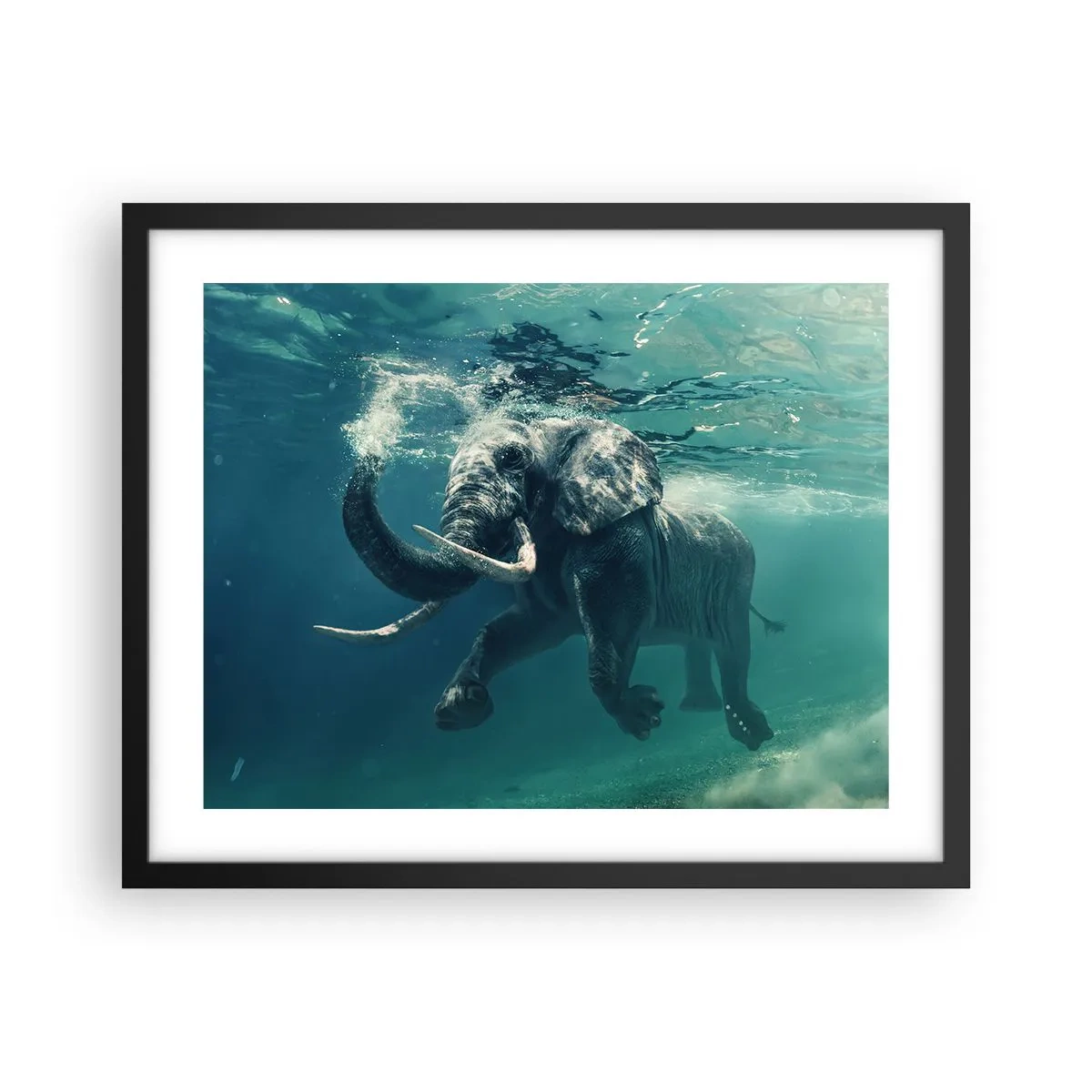 Poster in cornice nera - Tutti amano nuotare - 50x40 cm