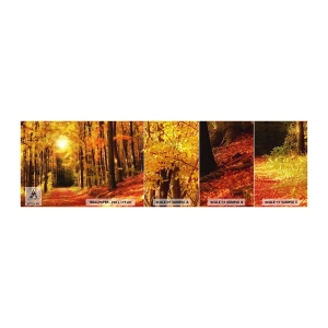 Campione di Fotomurale Adesivo Deluxe Sticker - Autunno dorato nella via nel bosco - Autunno, foresta, Paesaggio - 100x30 cm