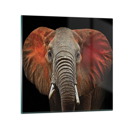 Quadro su vetro - Sono selvaggio e tu? - 40x40 cm