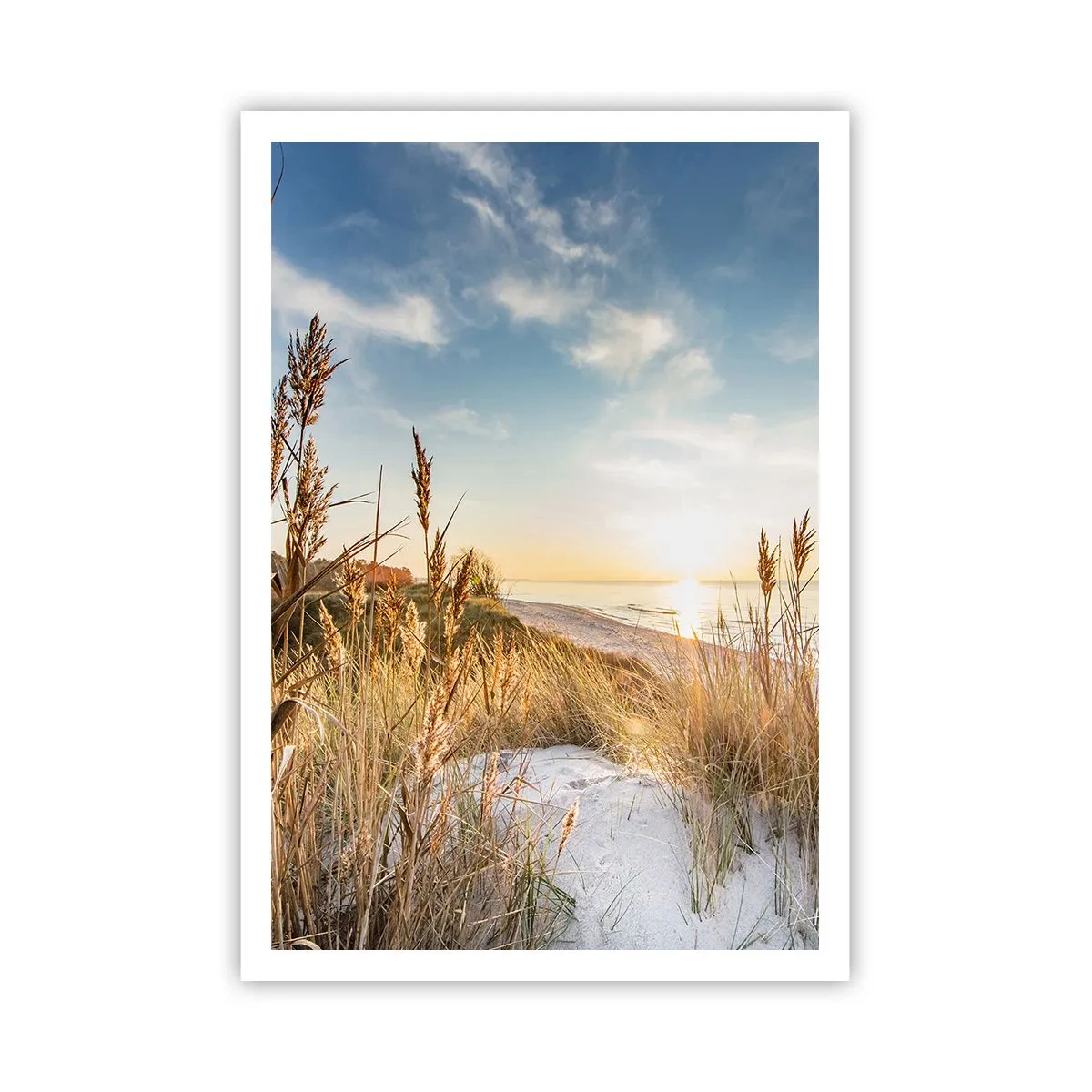 Poster - Spiaggia del nord - 70x100 cm