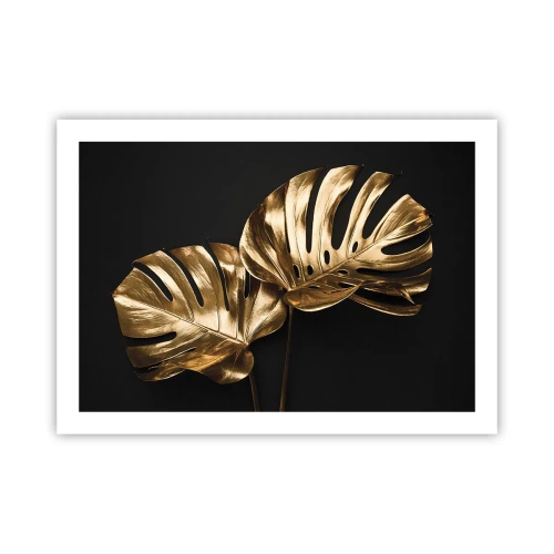 Poster - I tesori della natura - 70x50 cm