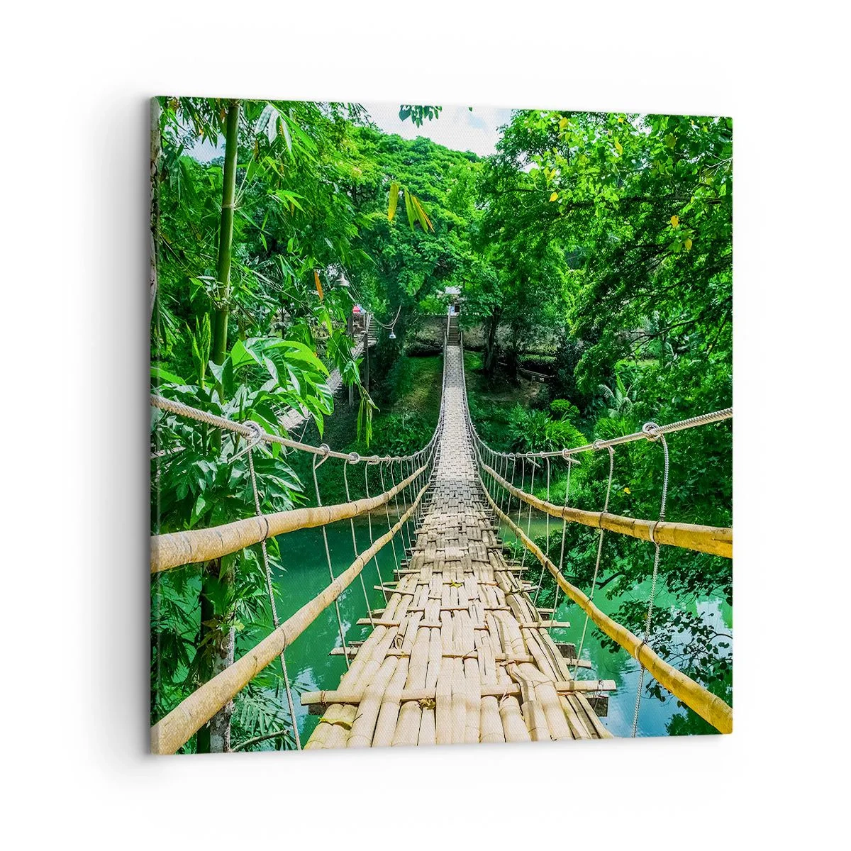 Quadro su tela - Stampe su Tela - Ponte sospeso sopra il verde - 50x50 cm