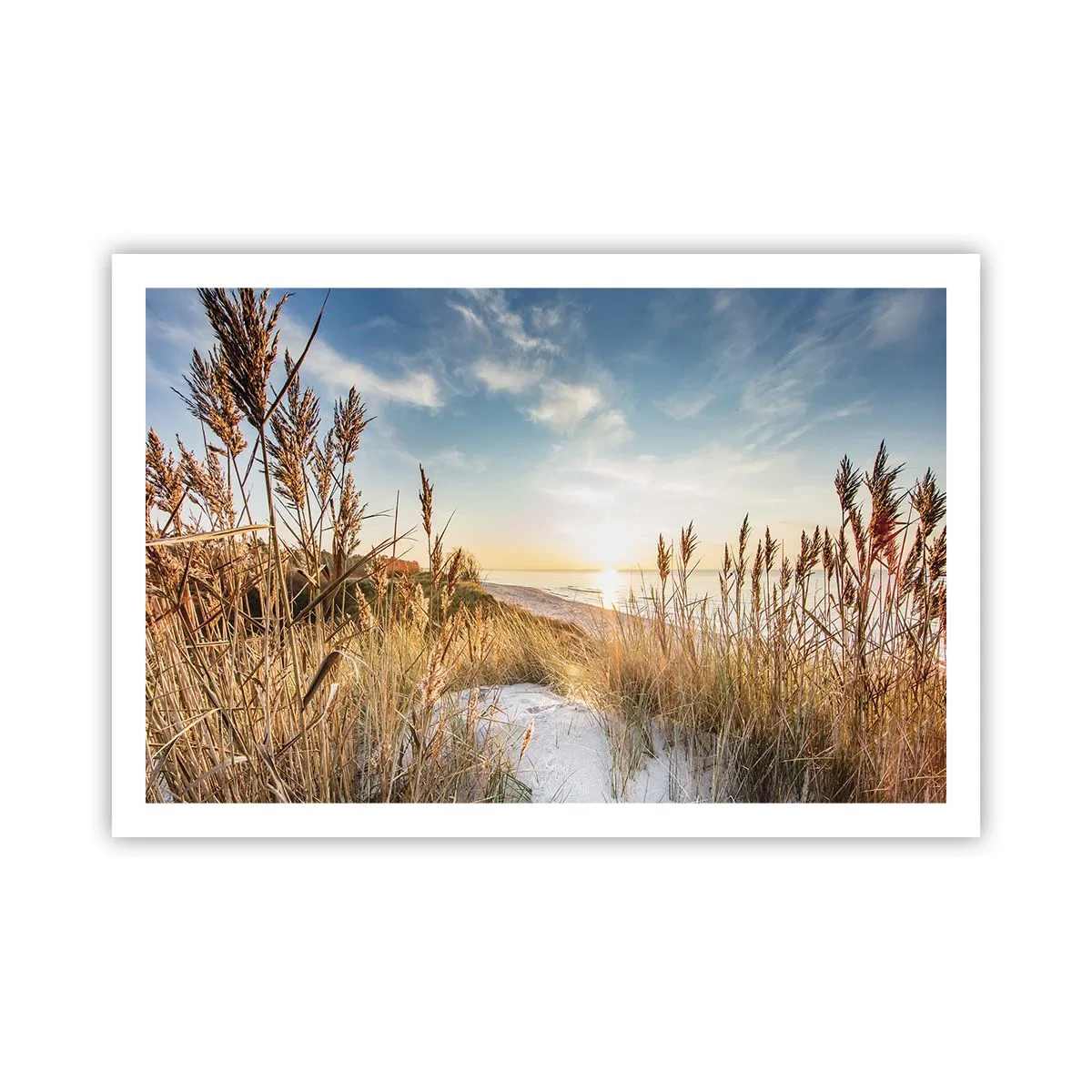 Poster - Spiaggia del nord - 91x61 cm