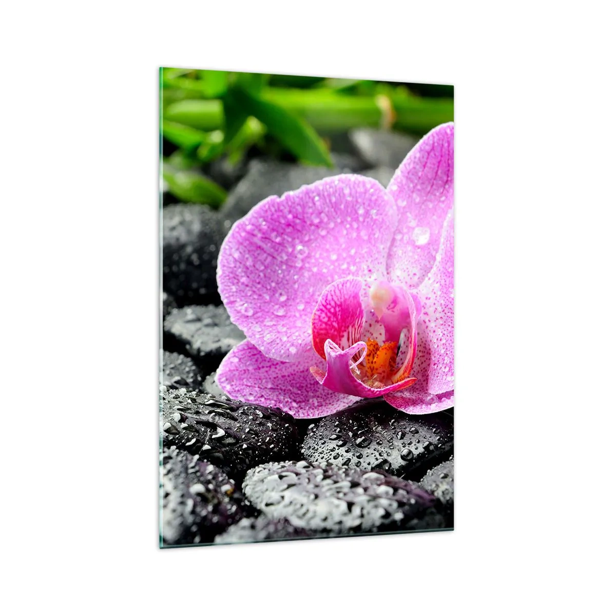 Quadro su vetro - Orchidea rosa su pietre nere bagnate con foglie verdi - 70x100cm - Come un cuore aperto - Decorazione murale moderna per soggiorno e camera da letto ARTTOR
