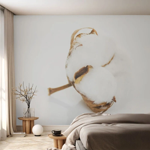 Fotomurale su misura Premium Canvas - Naturalmente morbido - cotone, Minimalista, Fiore