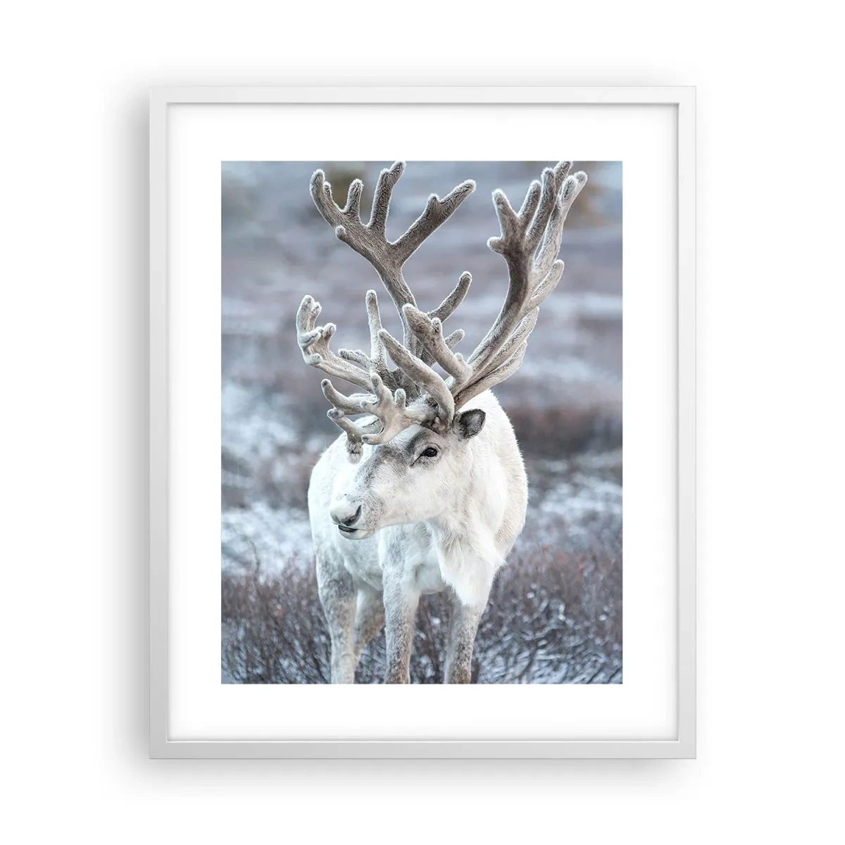 Poster in cornice bianca - Ritratto al sole - 40x50 cm