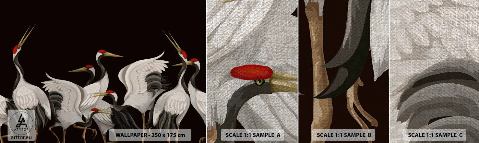 Campione di Fotomurale Premium Canvas - Cose da uccelli - Gru, Uccelli, Pezzo - 100x30 cm