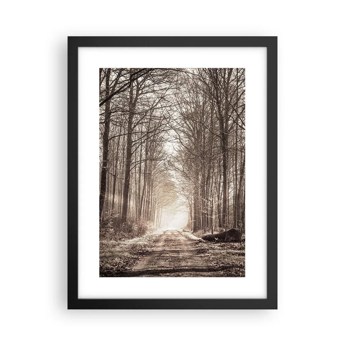 Poster in cornice nera - La cattedrale del bosco - 30x40 cm