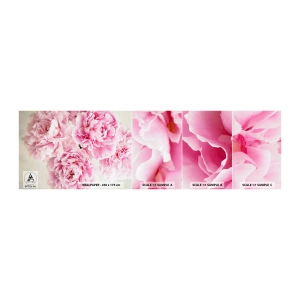 Campione di Fotomurale Adesivo Deluxe Sticker - Nel fasto rosa - Peonie, Mazzo di fiori, Fiori - 100x30 cm