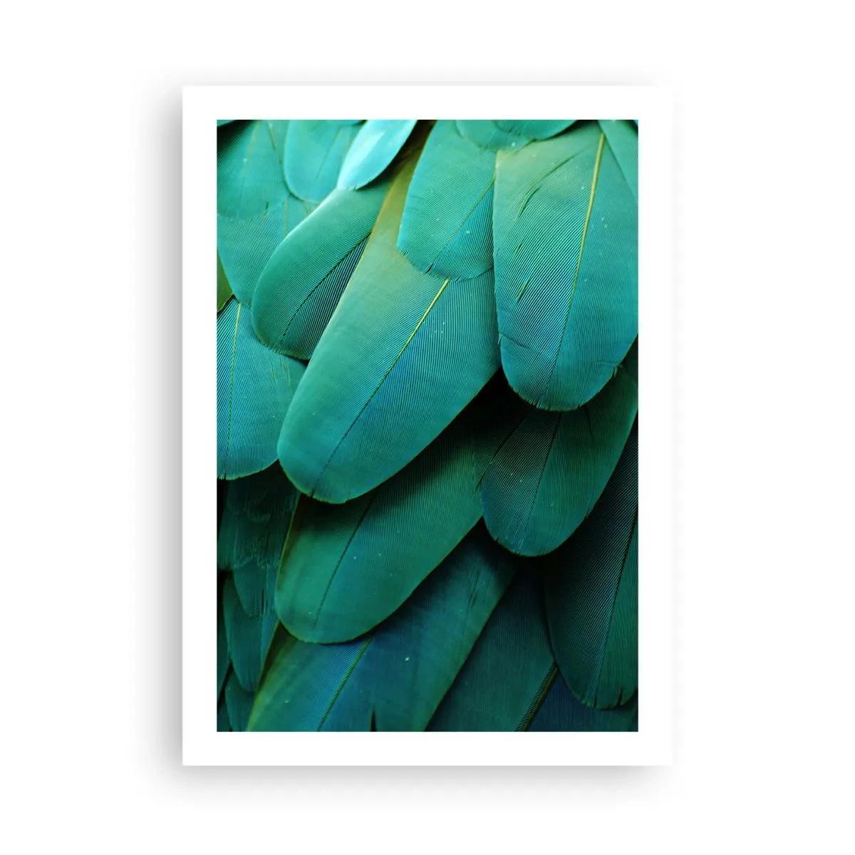 Poster - Primo piano delle piume verdi di un uccello esotico - 50x70cm - Precisione da pappagallo - Decorazione murale moderna per soggiorno e camera da letto ARTTOR