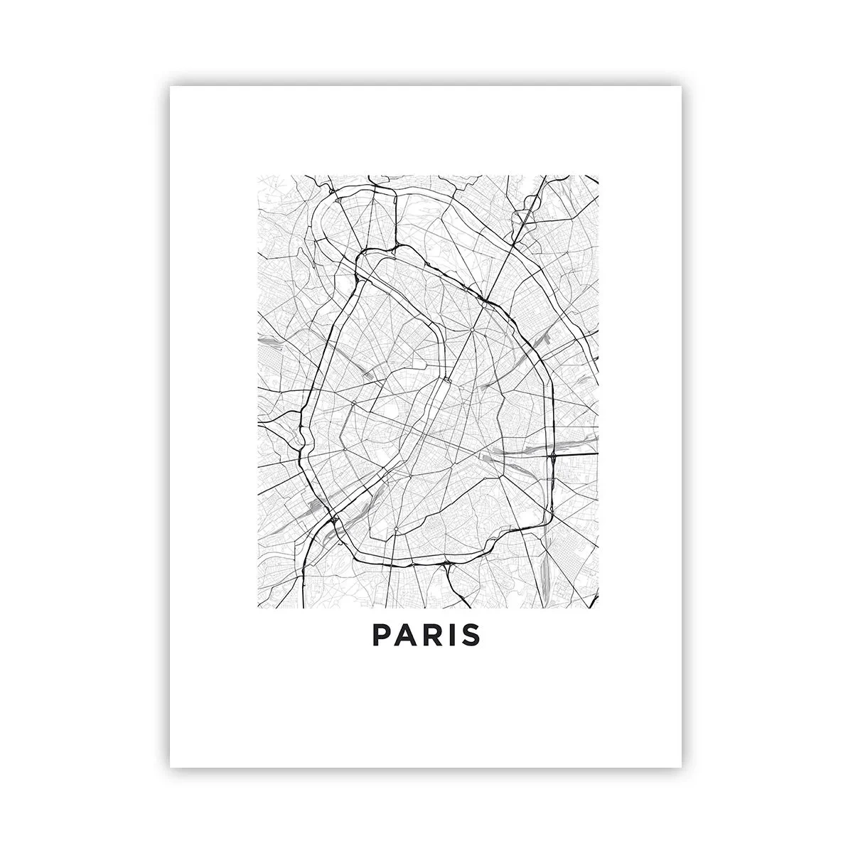 Poster - Il fiore di Parigi - 30x40 cm