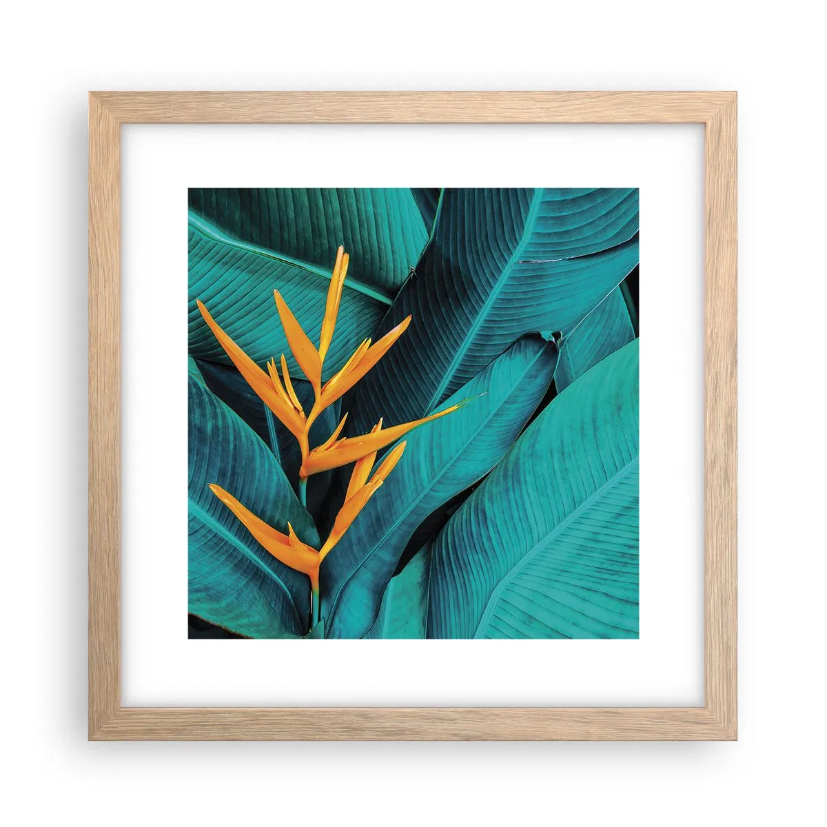 Poster in cornice rovere chiaro - Il fiore dell'Eden - 30x30 cm