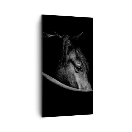 Quadro su tela - Stampe su Tela - Il principe nero - 45x80 cm