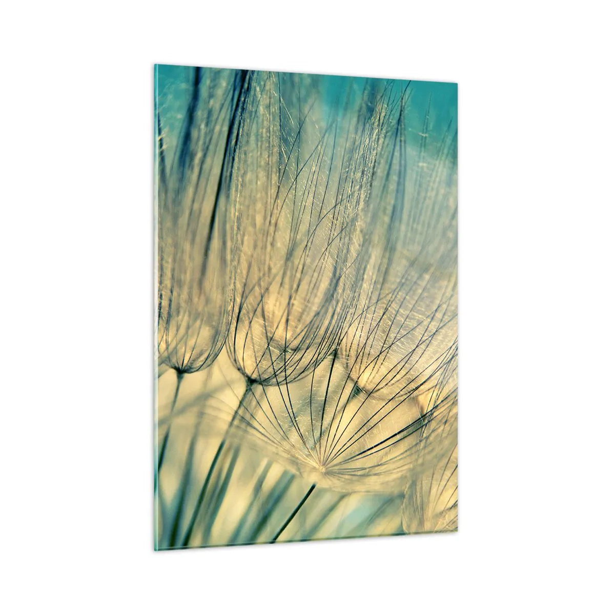Quadro su vetro - Macrofotografia di un dente di leone su uno sfondo turchese - 50x70cm - Aspettando il vento - Decorazione murale moderna per soggiorno e camera da letto ARTTOR