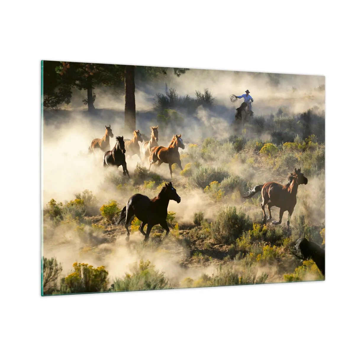 Quadro su vetro - Una mandria di cavalli al galoppo nella polvere e un cowboy sullo sfondo della natura - 100x70cm - Rivalità: libertà o forza mascolina? - Decorazione murale moderna per soggiorno e camera da letto ARTTOR