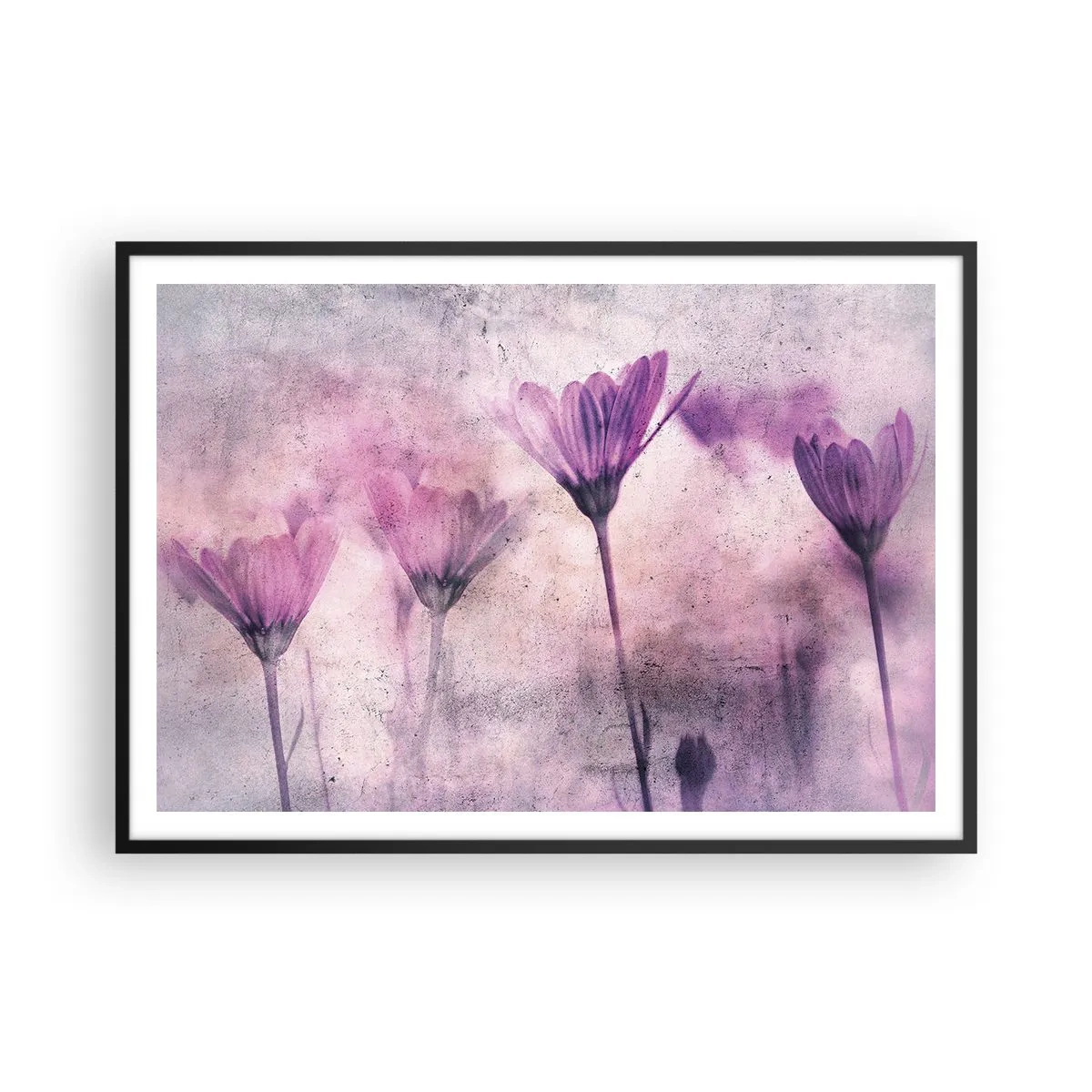 Poster in cornice nera - Delicati fiori nelle tonalità del viola su uno sfondo chiaro - 100x70cm - Il sogno dei fiori - Decorazione murale moderna per soggiorno e camera da letto ARTTOR