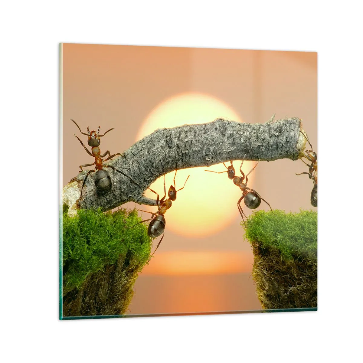 Quadro su vetro - Gioioso lavoro comune - 50x50 cm